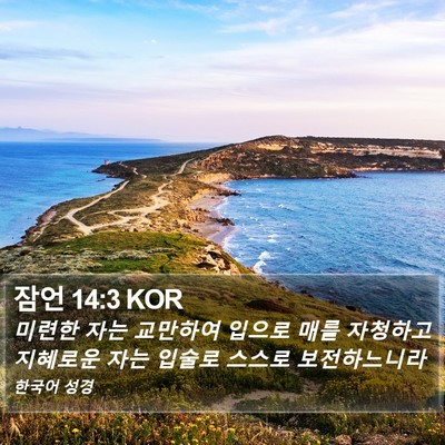 잠언 14:3 KOR Bible Verse Image