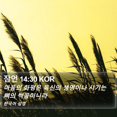 잠언 14:30 KOR Bible Verse Image