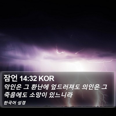 잠언 14:32 KOR Bible Verse Image
