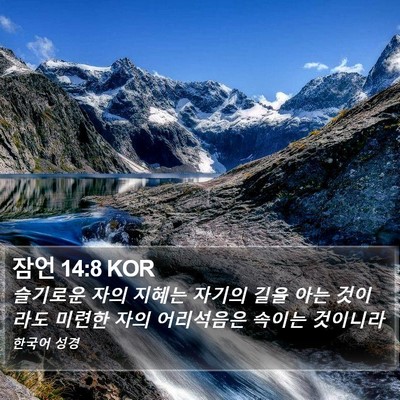 잠언 14:8 KOR Bible Verse Image
