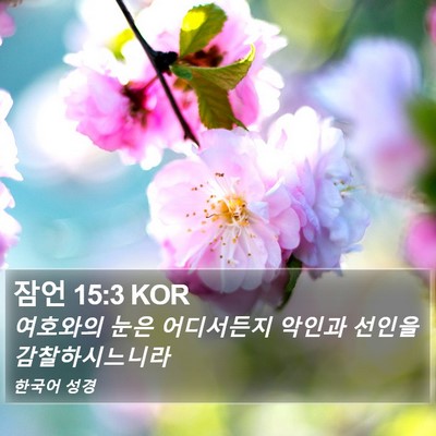 잠언 15:3 KOR Bible Verse Image