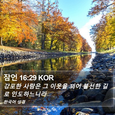 잠언 16:29 KOR Bible Verse Image