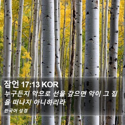 잠언 17:13 KOR Bible Verse Image