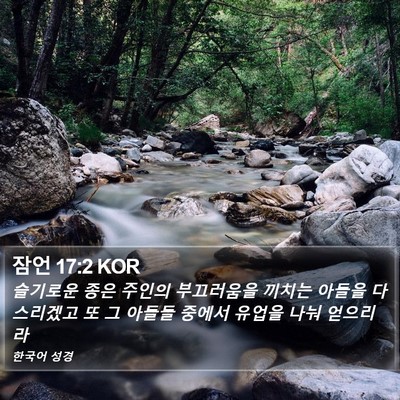 잠언 17:2 KOR Bible Verse Image