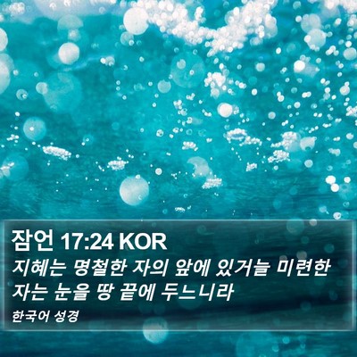 잠언 17:24 KOR Bible Verse Image