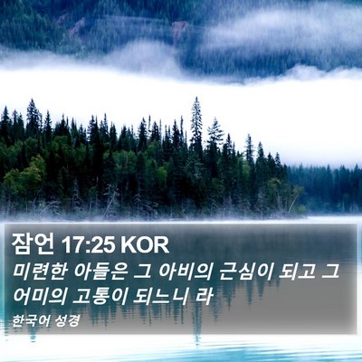 잠언 17:25 KOR Bible Verse Image