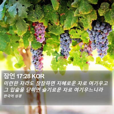 잠언 17:28 KOR Bible Verse Image