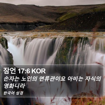 잠언 17:6 KOR Bible Verse Image
