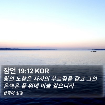 잠언 19:12 KOR Bible Verse Image