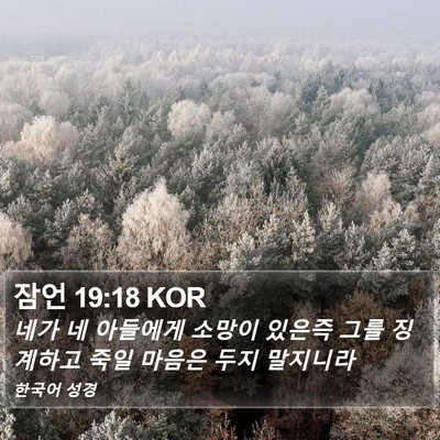 잠언 19:18 KOR Bible Verse Image