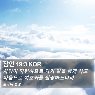 잠언 19:3 KOR Bible Verse Image