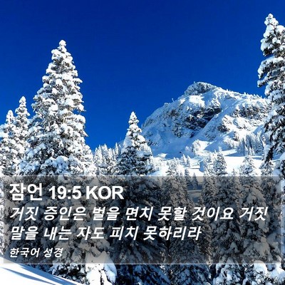잠언 19:5 KOR Bible Verse Image