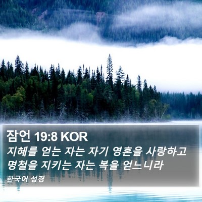 잠언 19:8 KOR Bible Verse Image