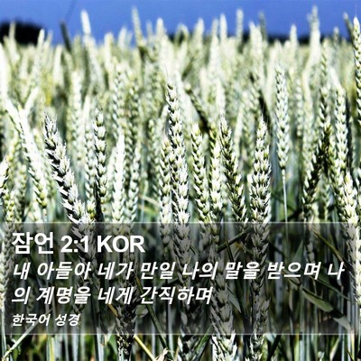 잠언 2:1 KOR Bible Verse Image