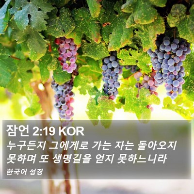 잠언 2:19 KOR Bible Verse Image