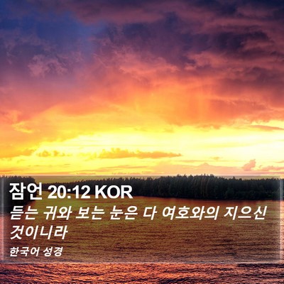 잠언 20:12 KOR Bible Verse Image