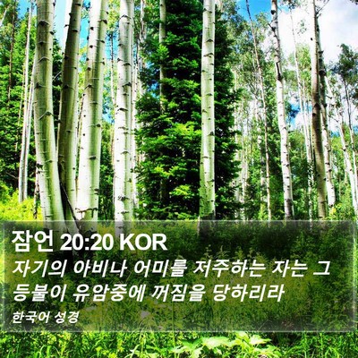 잠언 20:20 KOR Bible Verse Image