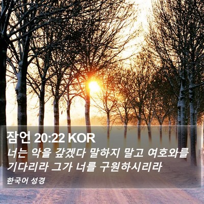 잠언 20:22 KOR Bible Verse Image