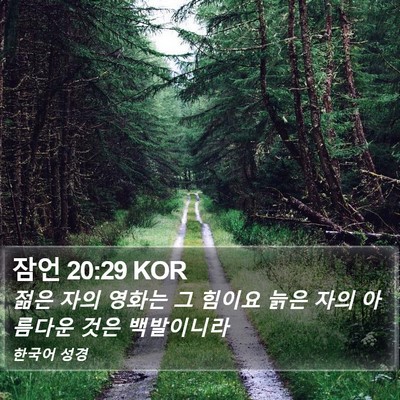 잠언 20:29 KOR Bible Verse Image
