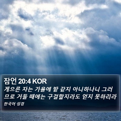 잠언 20:4 KOR Bible Verse Image