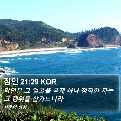 잠언 21:29 KOR Bible Verse Image