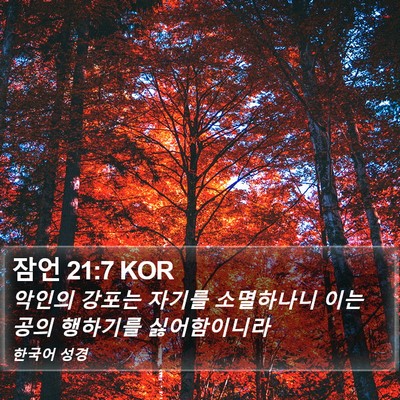 잠언 21:7 KOR Bible Verse Image