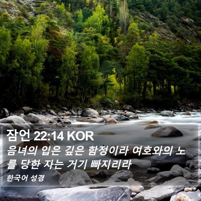 잠언 22:14 KOR Bible Verse Image