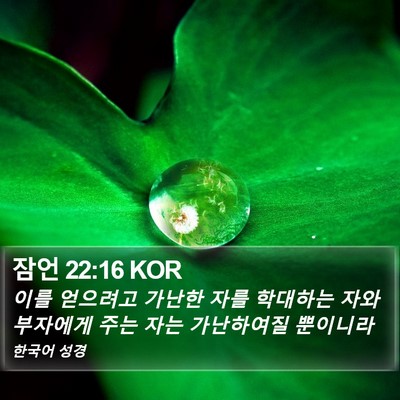 잠언 22:16 KOR Bible Verse Image