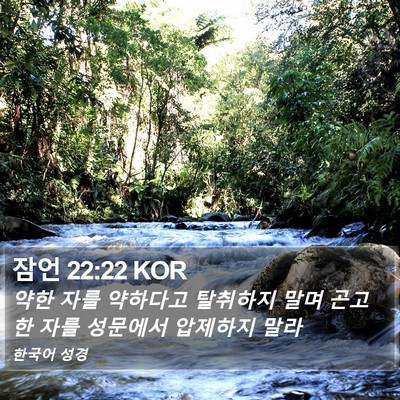 잠언 22:22 KOR Bible Verse Image