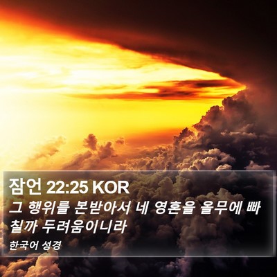 잠언 22:25 KOR Bible Verse Image