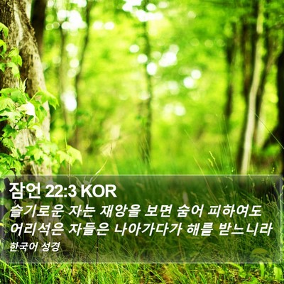 잠언 22:3 KOR Bible Verse Image