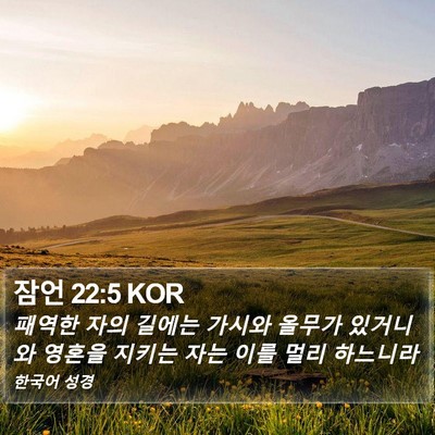 잠언 22:5 KOR Bible Verse Image