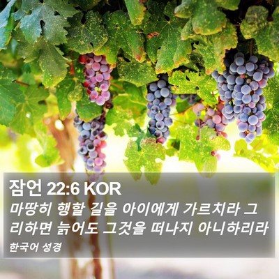 잠언 22:6 KOR Bible Verse Image