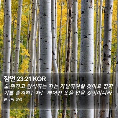 잠언 23:21 KOR Bible Verse Image
