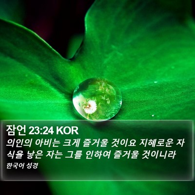 잠언 23:24 KOR Bible Verse Image