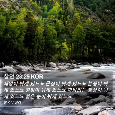 잠언 23:29 KOR Bible Verse Image