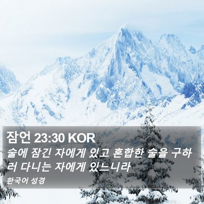 잠언 23:30 KOR Bible Verse Image