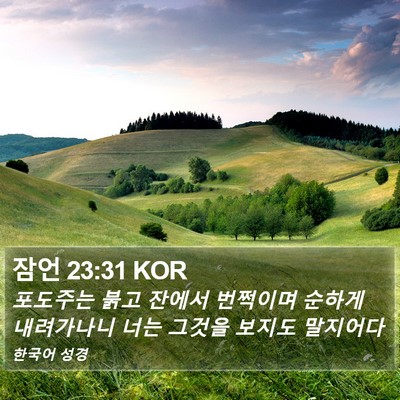 잠언 23:31 KOR Bible Verse Image