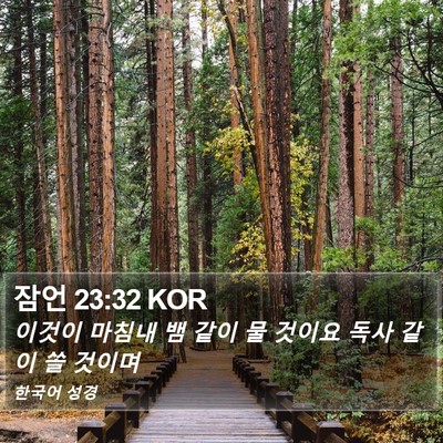 잠언 23:32 KOR Bible Verse Image