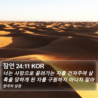 잠언 24:11 KOR Bible Verse Image
