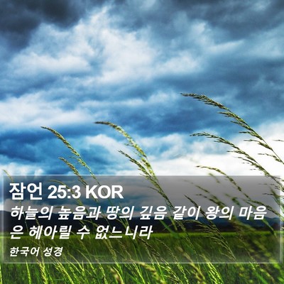 잠언 25:3 KOR Bible Verse Image