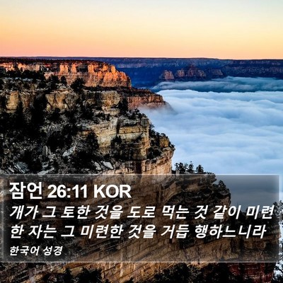 잠언 26:11 KOR Bible Verse Image