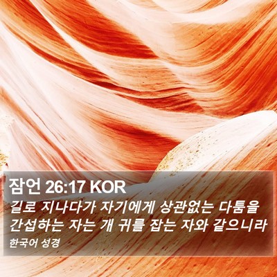 잠언 26:17 KOR Bible Verse Image