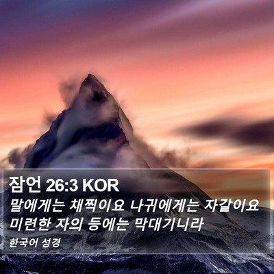 잠언 26:3 KOR Bible Verse Image