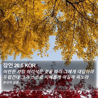 잠언 26:5 KOR Bible Verse Image