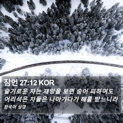 잠언 27:12 KOR Bible Verse Image