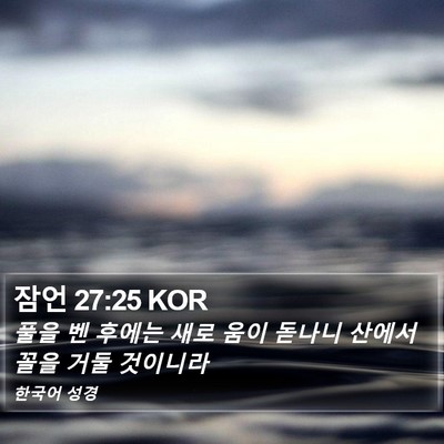 잠언 27:25 KOR Bible Verse Image