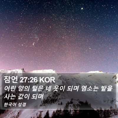 잠언 27:26 KOR Bible Verse Image