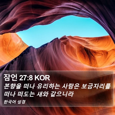 잠언 27:8 KOR Bible Verse Image
