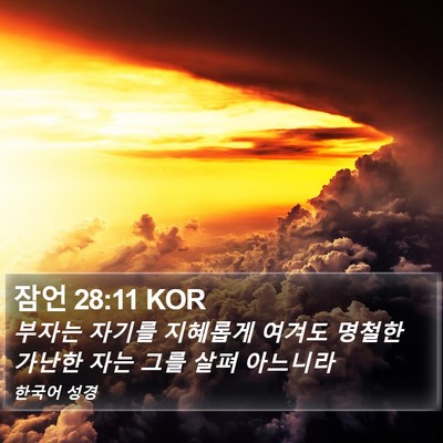 잠언 28:11 KOR Bible Verse Image